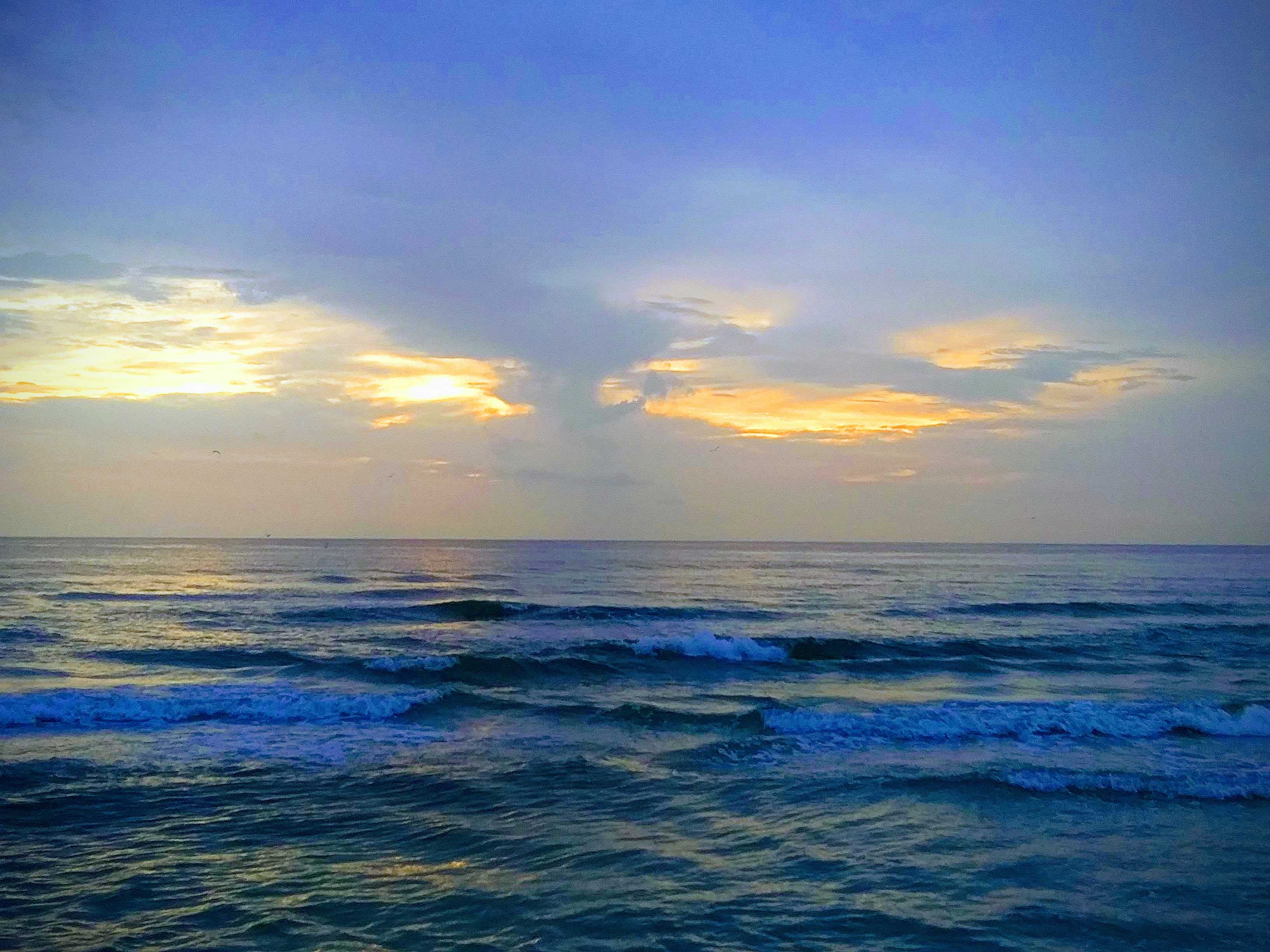 Lowdermilk Park 照片 5